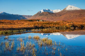 Uitzicht over Rannoch Moor van Daniela Beyer