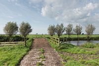 Pad met bruggetje over vliet in polder Alblasserwaard