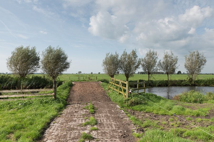 Pad met bruggetje over vliet in polder Alblasserwaard von Beeldbank Alblasserwaard