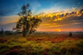 Ochtendgloren by Peet de Rouw