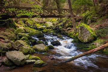 Ravennaschlucht by Goos den Biesen