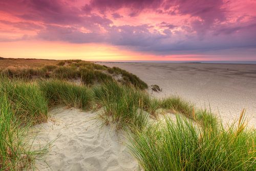 Sonnenuntergang in den Dünen von Texel