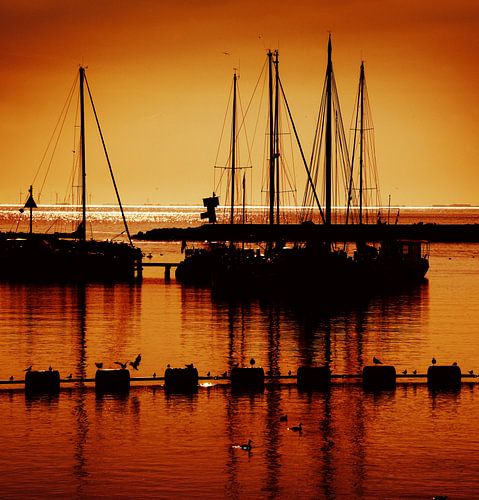 Stavoren sur Harrie Muis