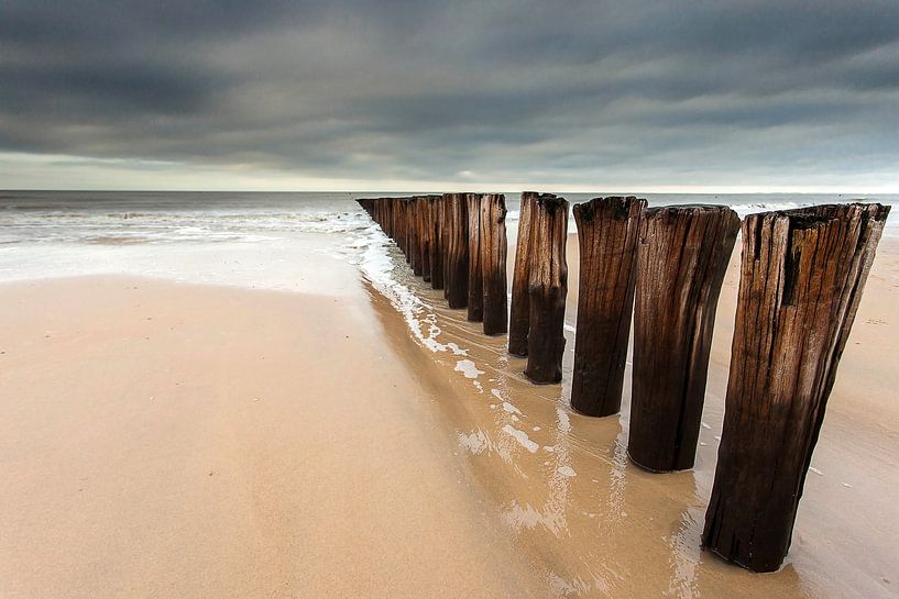 Am Strand von Harold van den Berge