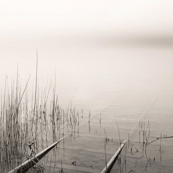 Getting Lost by Lena Weisbek
