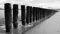 Breakwaters in black and white 2