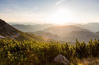 Sonnenuntergang über Dutzenden von Berggipfeln von Coen Weesjes Miniaturansicht