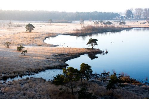De Flaes à Esbeek (domaine d'Utrecht)