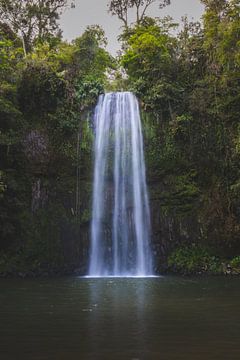 Millaa Millaa Waterfall: Eine Perle im tropischen Norden von Queensland von Ken Tempelers