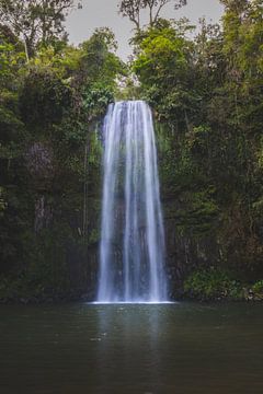 Millaa Millaa Waterval: Een Parel in het Tropische Noorden van Queensland van Ken Tempelers