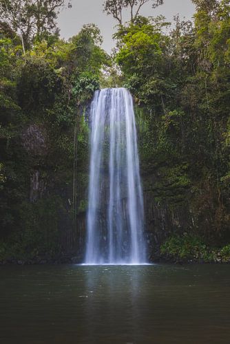 Millaa Millaa Waterval: Een Parel in het Tropische Noorden van Queensland