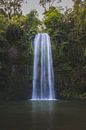 Millaa Millaa Waterfall: A Pearl in Queensland's Tropical North by Ken Tempelers thumbnail