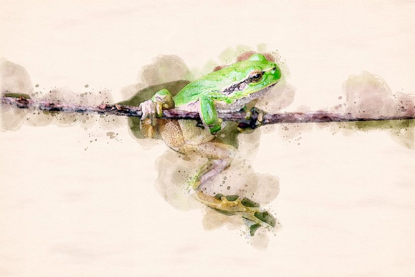 Tree frog (watercolor edit) by Gig-Pic by Sander van den Berg