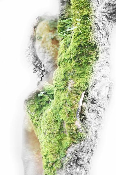 opgaan in de natuur van Cor Heijnen