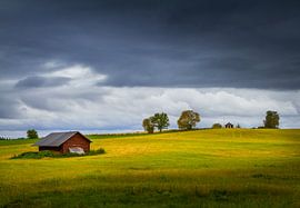 Autumn in Sweden by Hamperium Photography