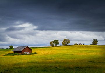 Herfst in Zweden van Hamperium Photography
