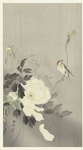 Swallow with Peony, Ohara Koson