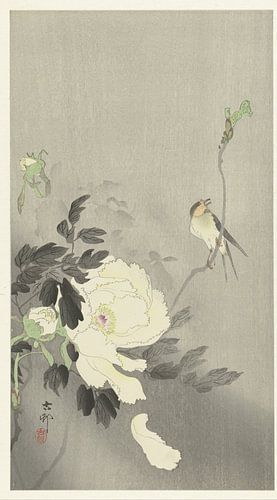 Schwalbe mit Pfingstrose, Ohara Koson