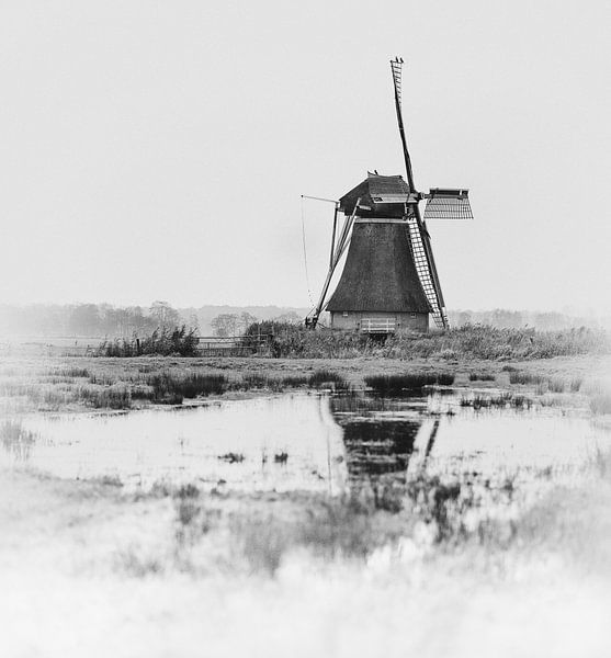 Traditionelle Windmühle in Niederländisch-Friesland mit drei Kormoranen in schwarz-weiß von John Quendag