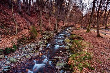 Mountain river La Hoëgne by Rob Boon