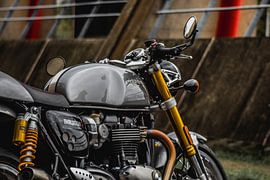 Triumph Thruxton R von Westland Op Wielen