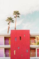 Palm Springs Colors
