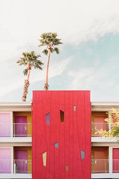 Palm Springs Kleuren van Kathrin Pienaar