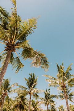 Tropisch Paradijs: Palmbomen op een Wit Zandstrand onder Helderblauwe Hemel van Troy Wegman