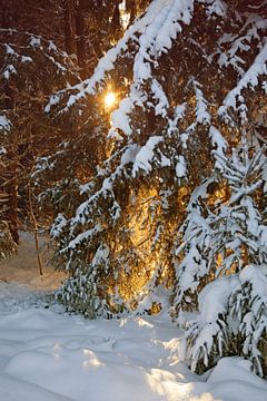 Winterlandschaft von Bo Valentino