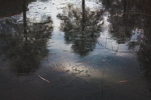 Fall 2018 Netherlands