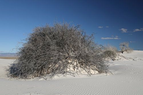 White Sands Dunes National Monument in New Mexico