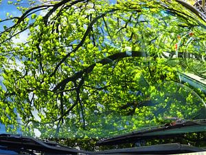 Urban Reflections 75