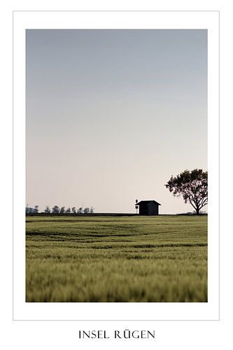 The Island of Rügen