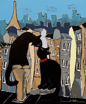 Black cat and his pretty, on Paris rooftops