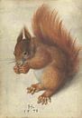 Red Squirrel, Hans Hoffmann by Masterful Masters thumbnail