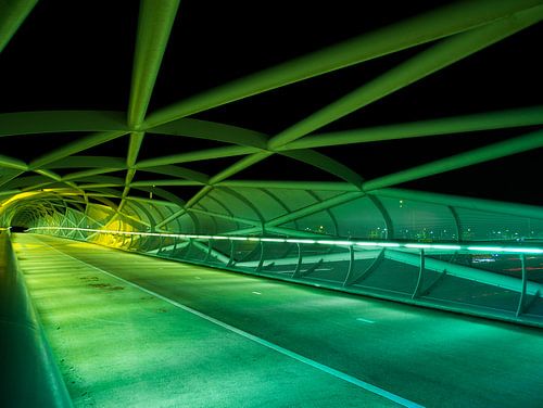 Netkous Brug, A15, Rotterdam