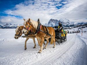 Pferdeschlittenfahrt auf der Seiser Alm