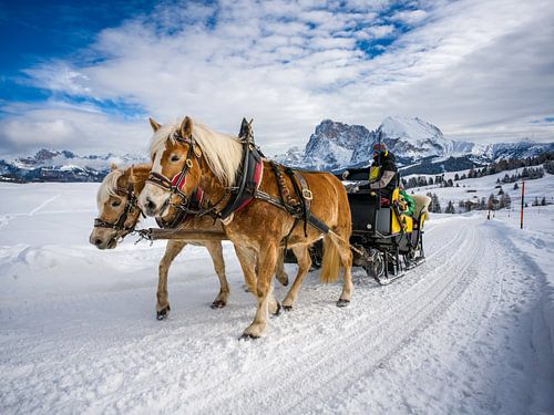 Paardensleetochten op de Seiser Alm