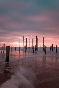 Palendorp Petten 7