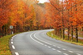 "autumn roadview" van Pascal Engelbarts