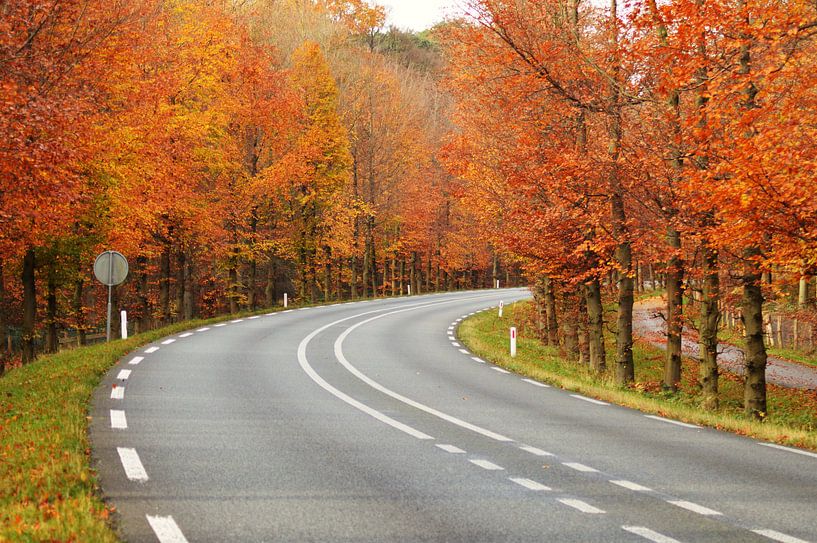 &quot;autumn roadview&quot; by Pascal Engelbarts