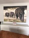Kundenfoto: Elefanten Parade von Marcel van Balken