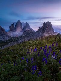 Zomer in de Dolomieten van Thomas Weber BGL