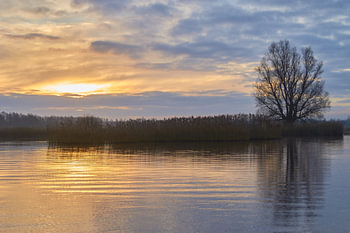 zonsopkomst op water