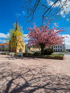 Das Steintor in der Hansestadt Rostock im Frühling