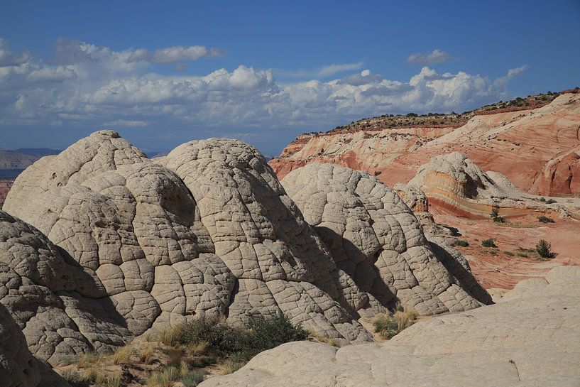 White Pocket, Vermilion Cliffs National Monument, Arizona van Frank Fichtmüller