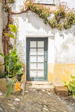 Grüne Tür mit Pflanzen in Óbidos, Portugal von Henrike Schenk