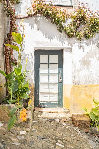 Groene Deur Met Planten in Óbidos, Portugal