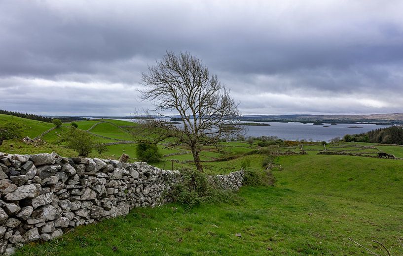 Iers landschap van Roy Vereijken