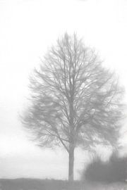 Arbre qui se balance sur Henk Egbertzen